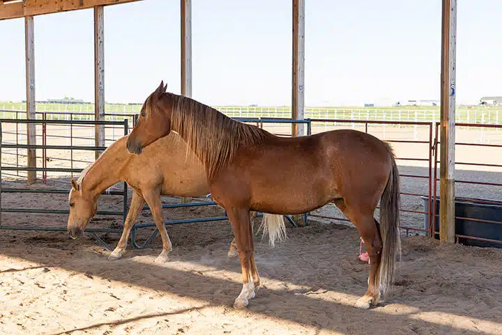 Raleigh House of Hope - Thumbnail 10