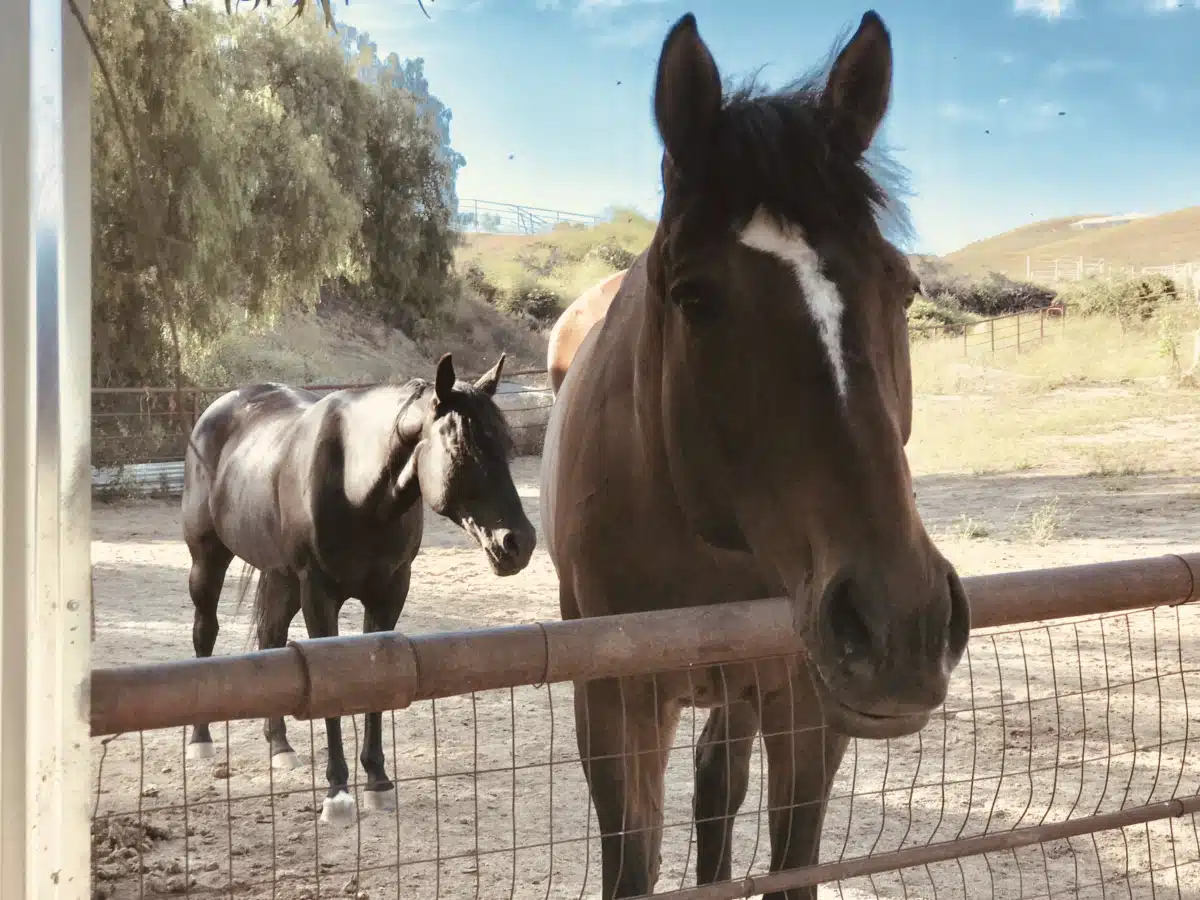 Rancho Milagro Recovery Inc - Thumbnail 9