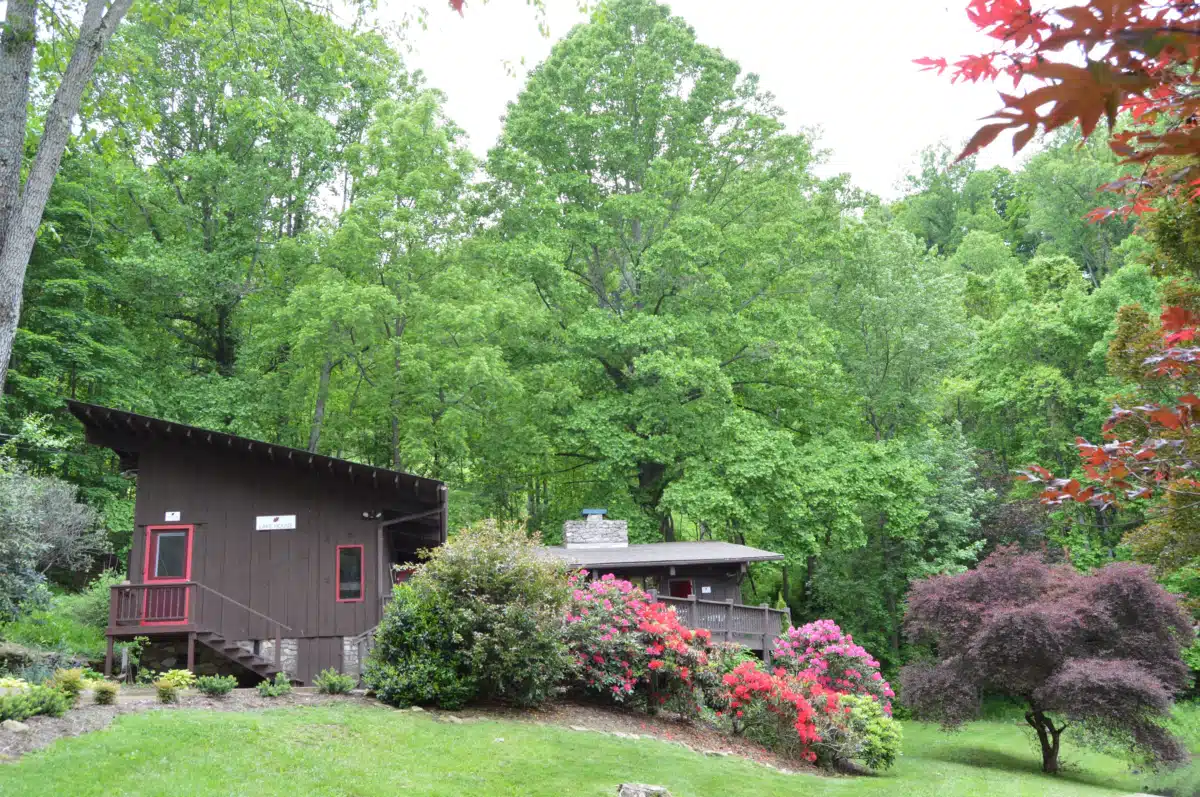 Red Oak Recovery - Thumbnail 10