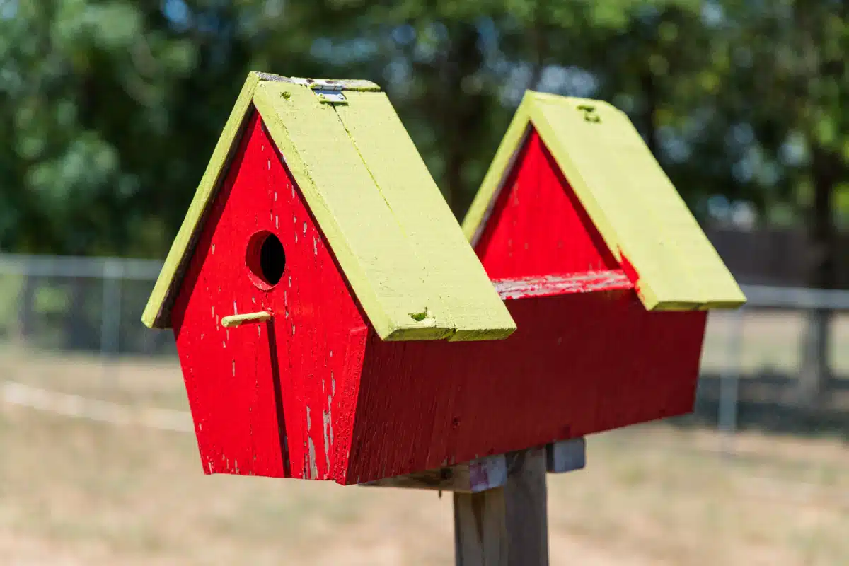 Renewal Lodge by Burning Tree - Thumbnail 10