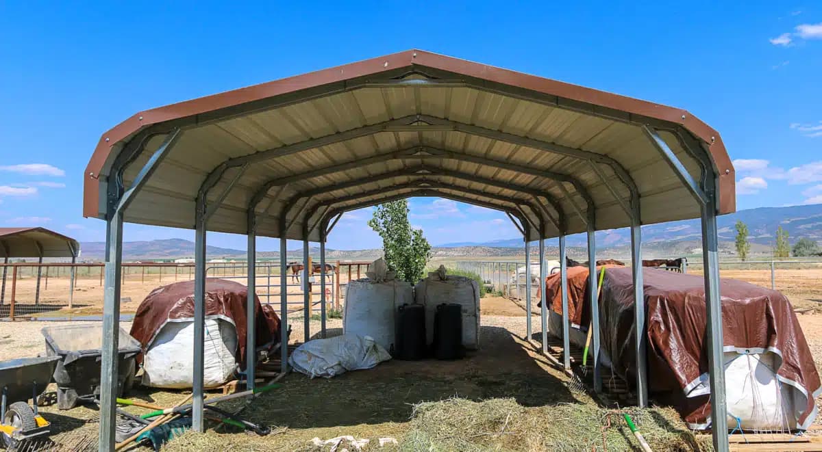 Renewed Hope Ranch - Thumbnail 6