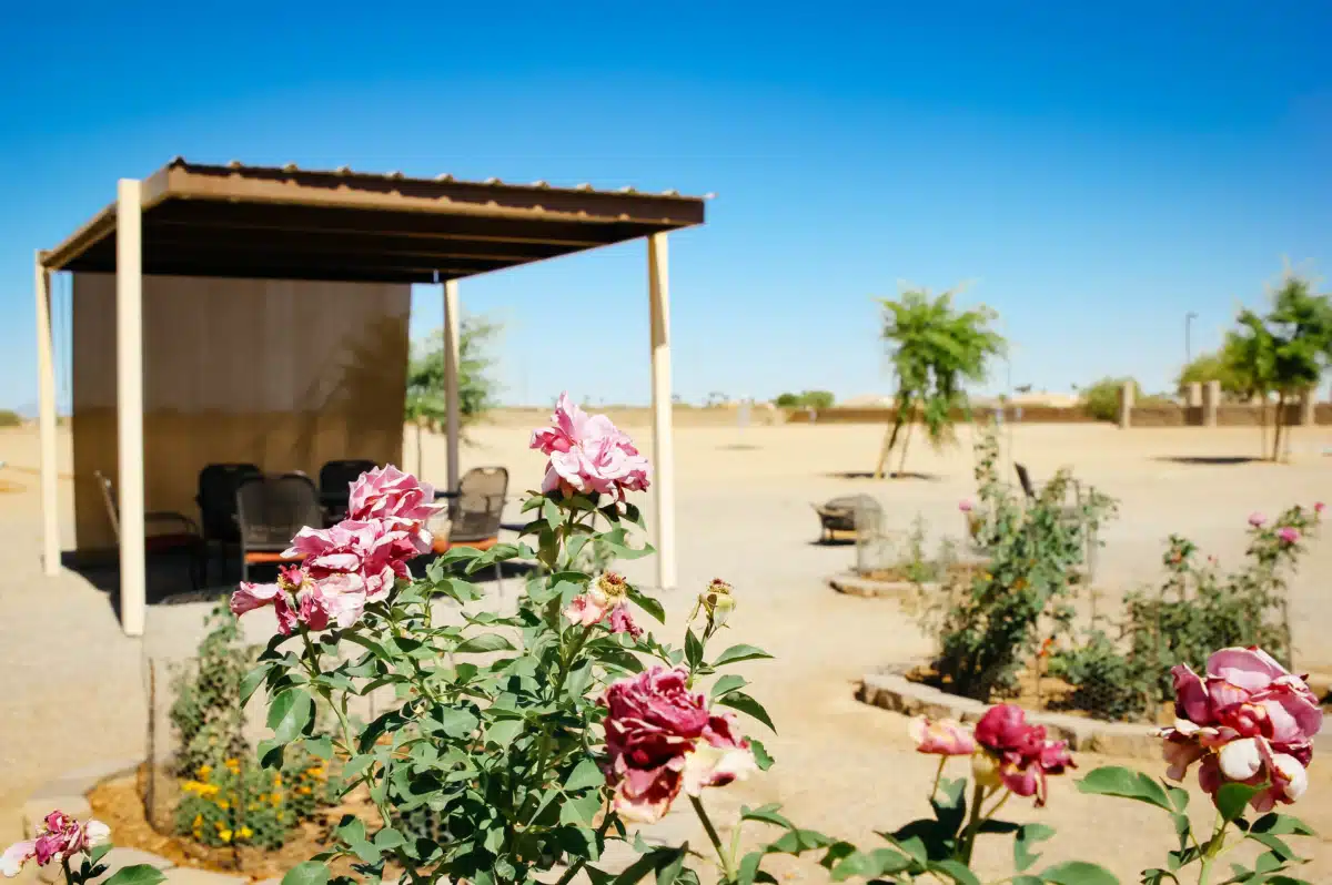 River Source Trt Ctr Casa Grande LLC - Thumbnail 3