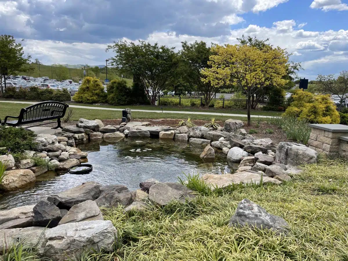 Rockingham Memorial Hospital - Thumbnail 3