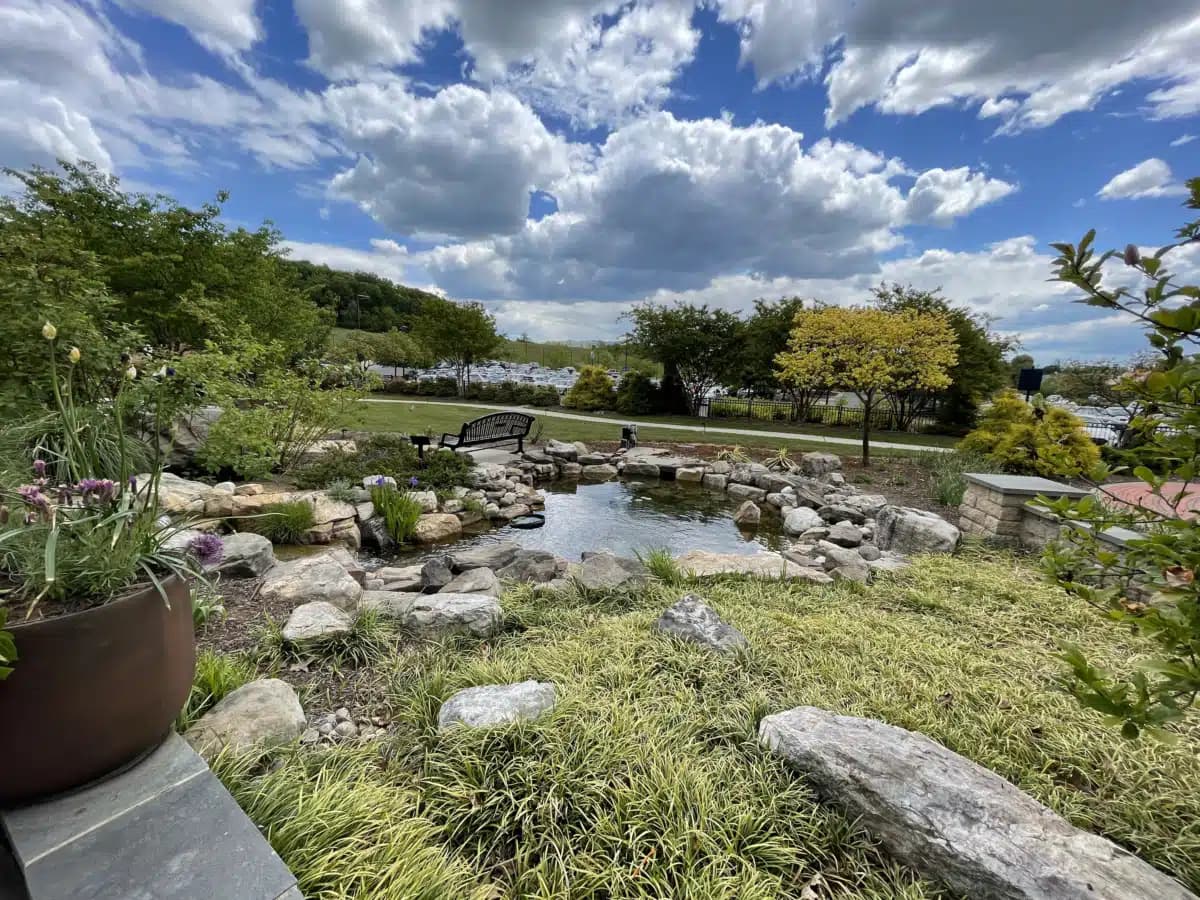 Rockingham Memorial Hospital - Thumbnail 6