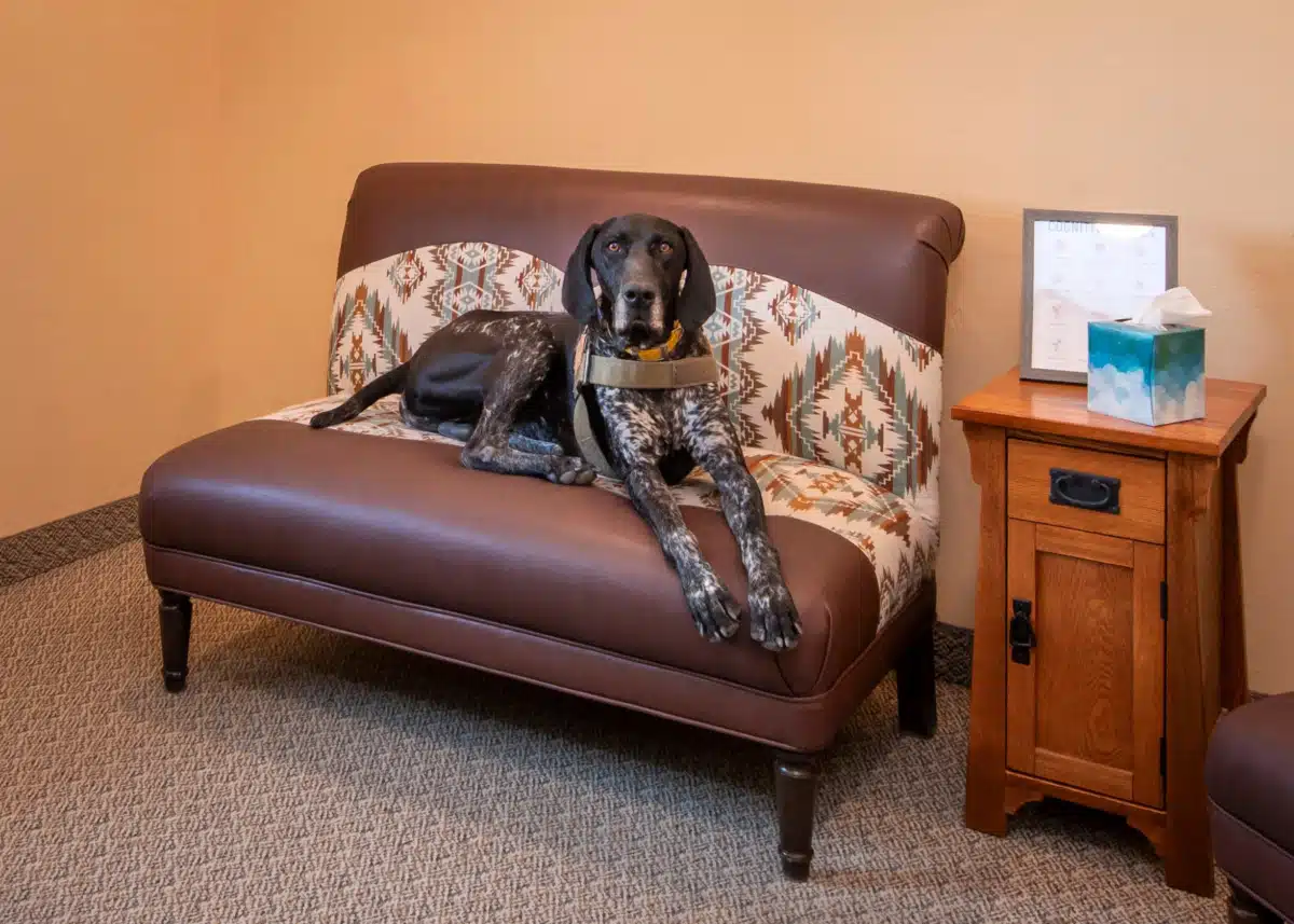 Rosewood Centers for Eating Disorders - Thumbnail 6