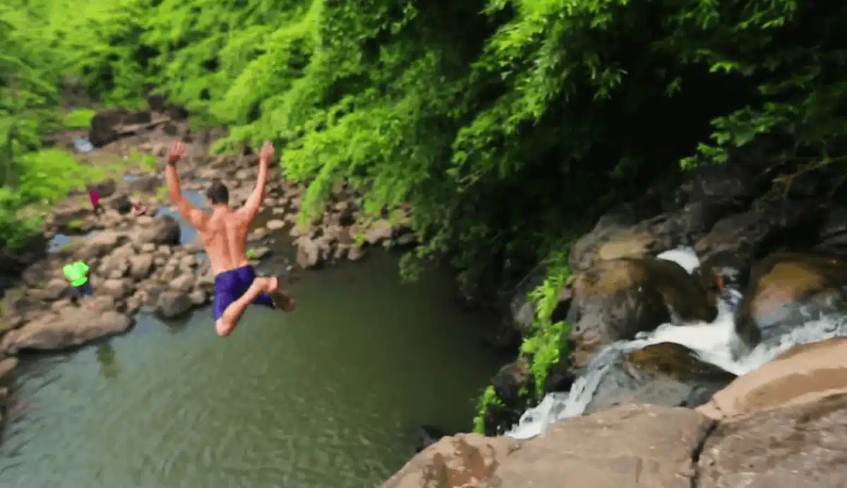 S2L Recovery - Thumbnail 10