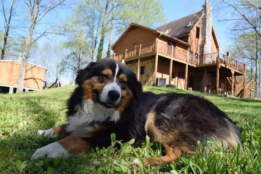 S2L Recovery - Thumbnail 3