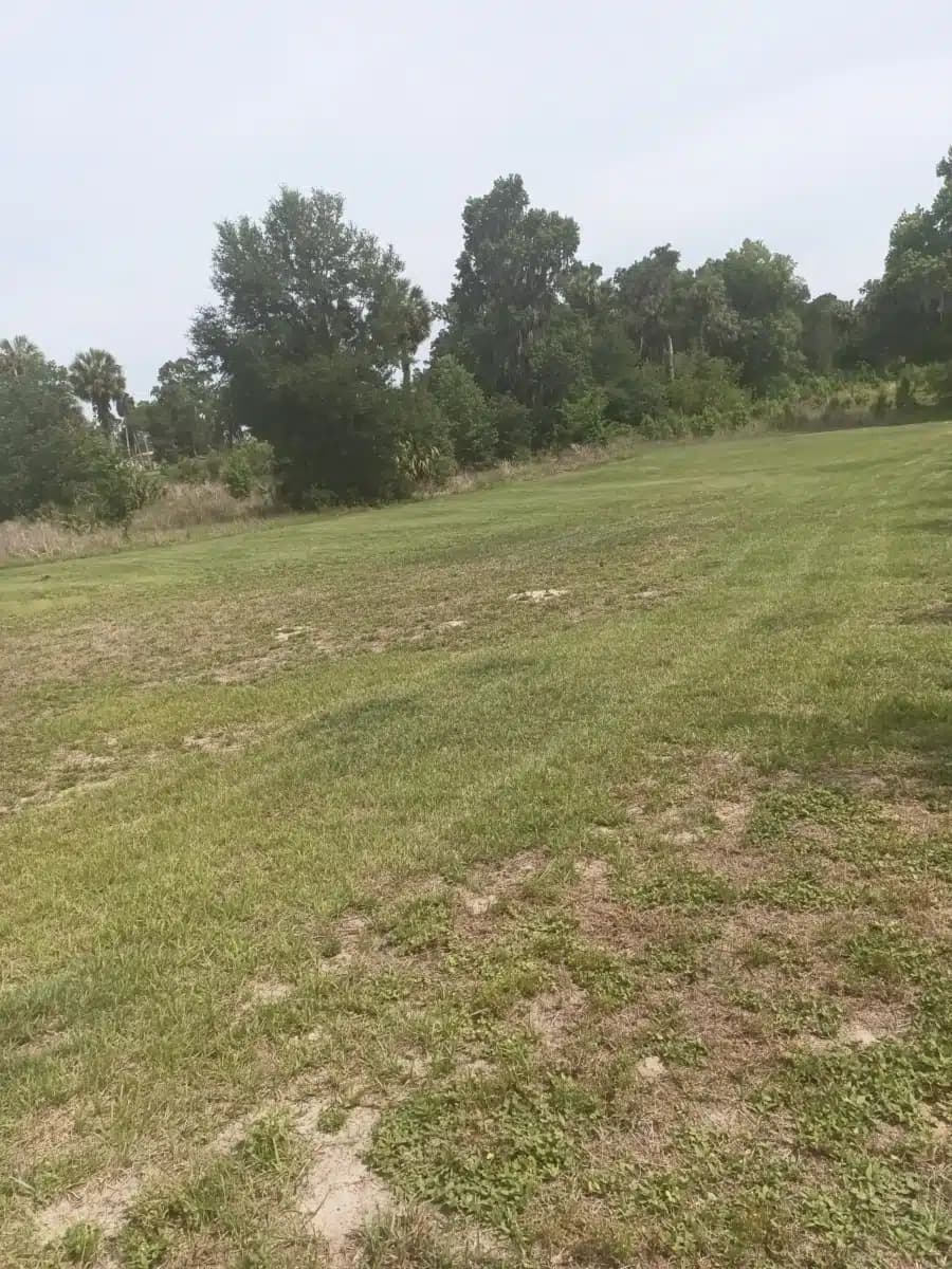 SMA Adult Residential - Thumbnail 8