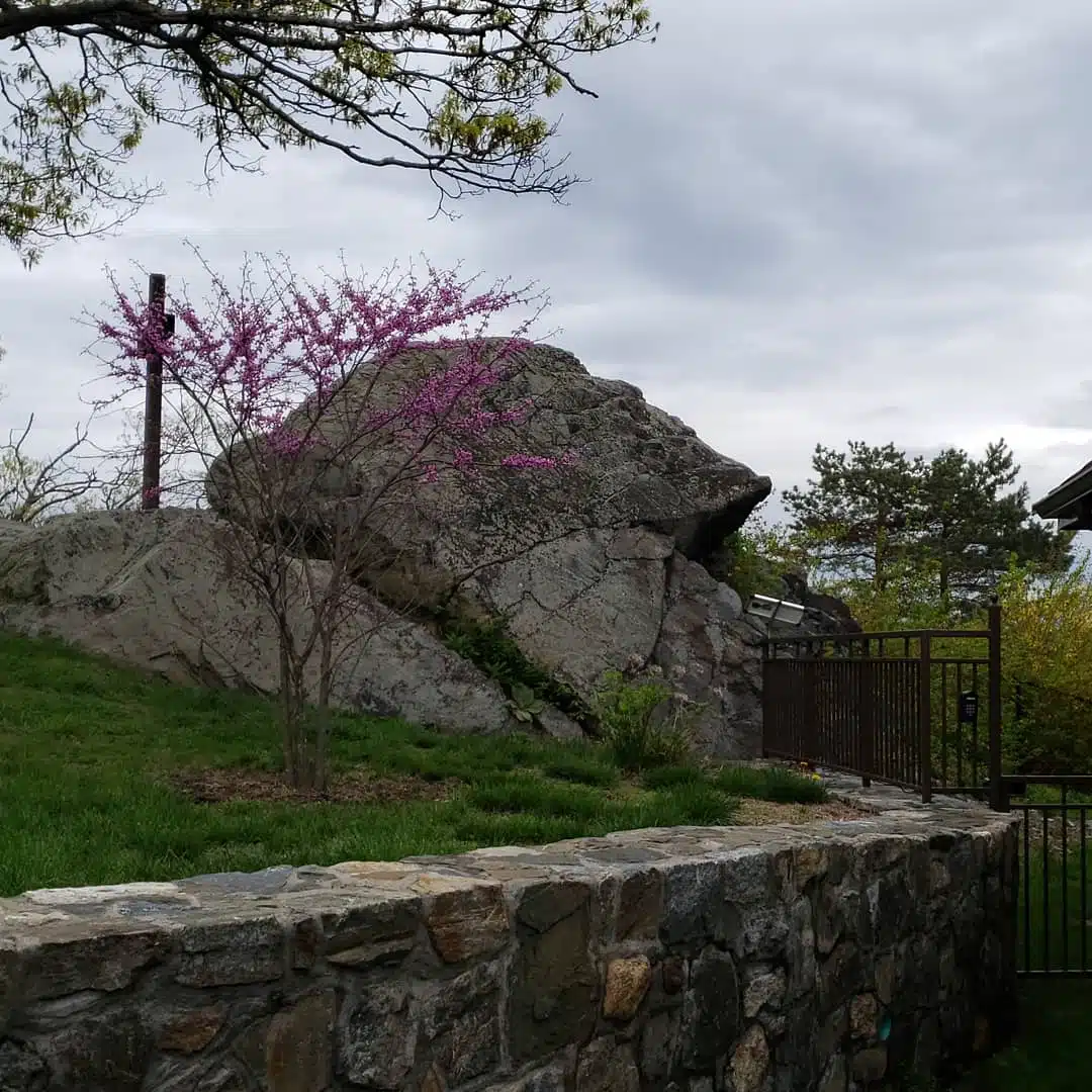 Saint Christophers Inn Inc - Thumbnail 2