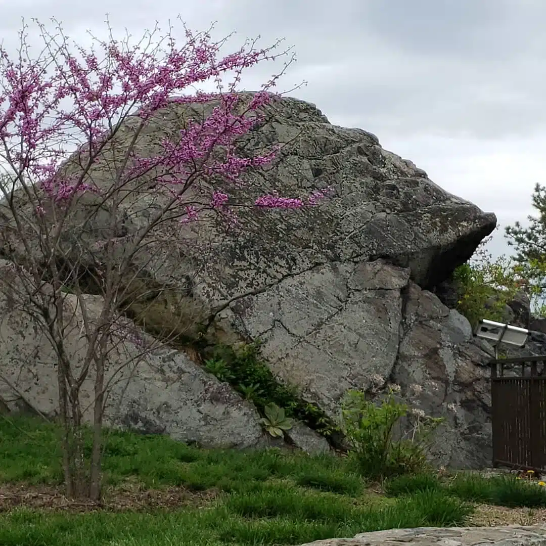 Saint Christophers Inn Inc - Thumbnail 5