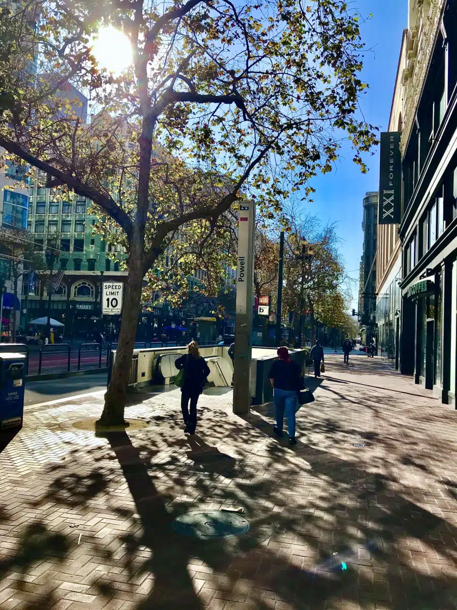 San Francisco AIDS Foundation - Thumbnail 3