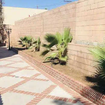 Saving My Tomorrow - Thumbnail 3