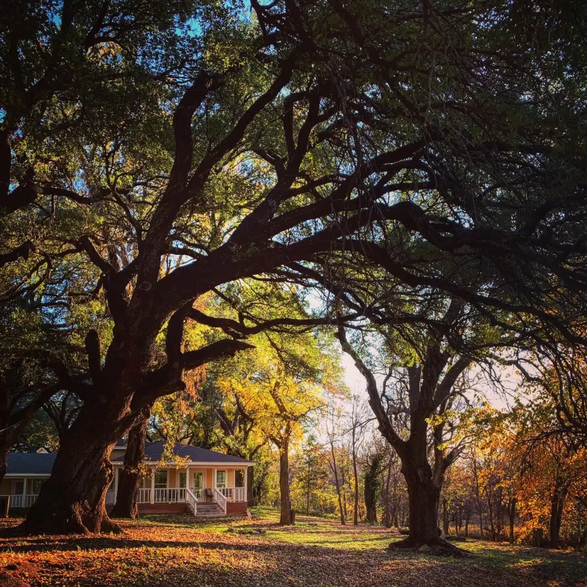 Shades of Hope Treatment Center - Thumbnail 7