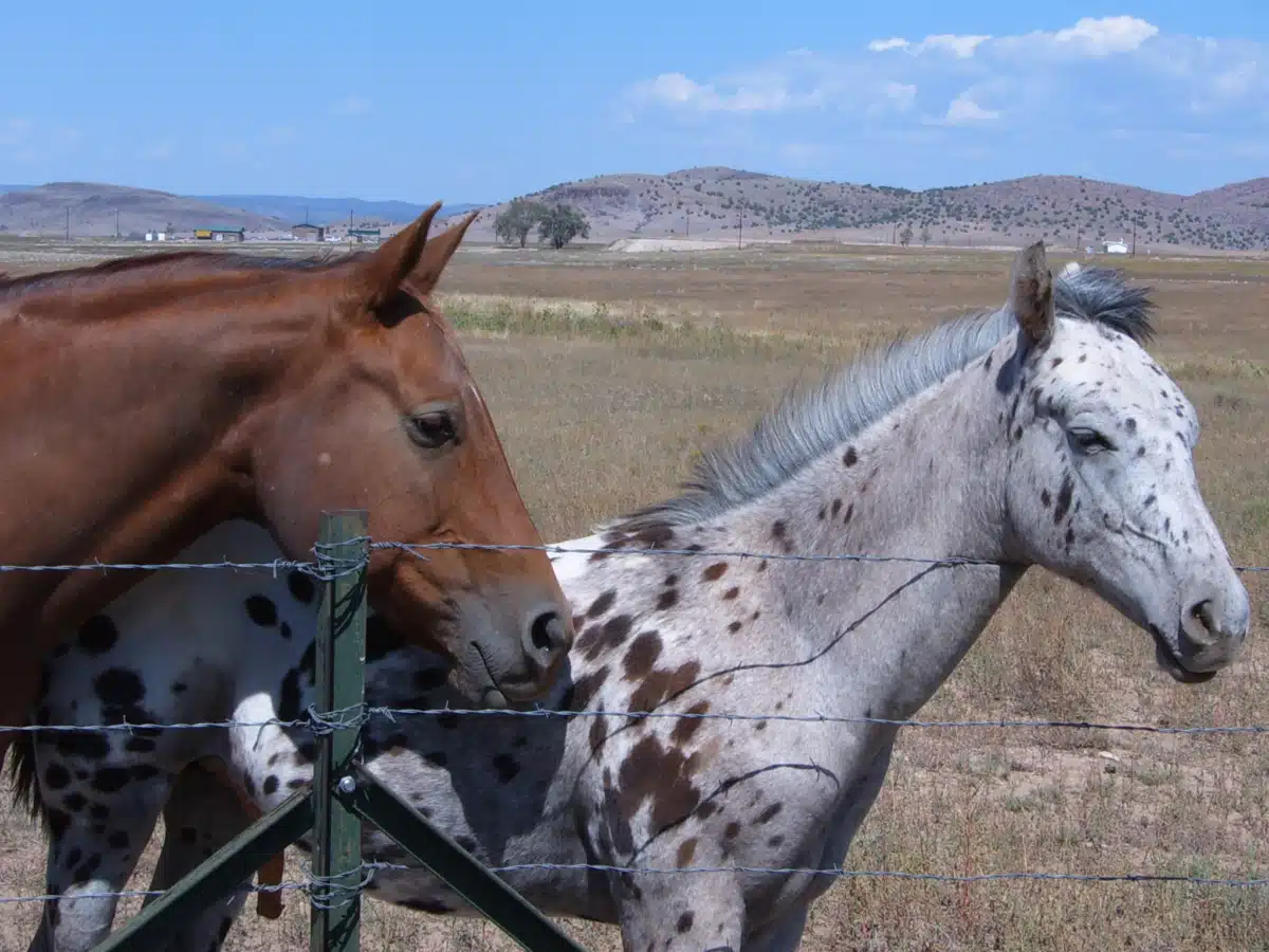 Silver Sands Recovery - Thumbnail 10