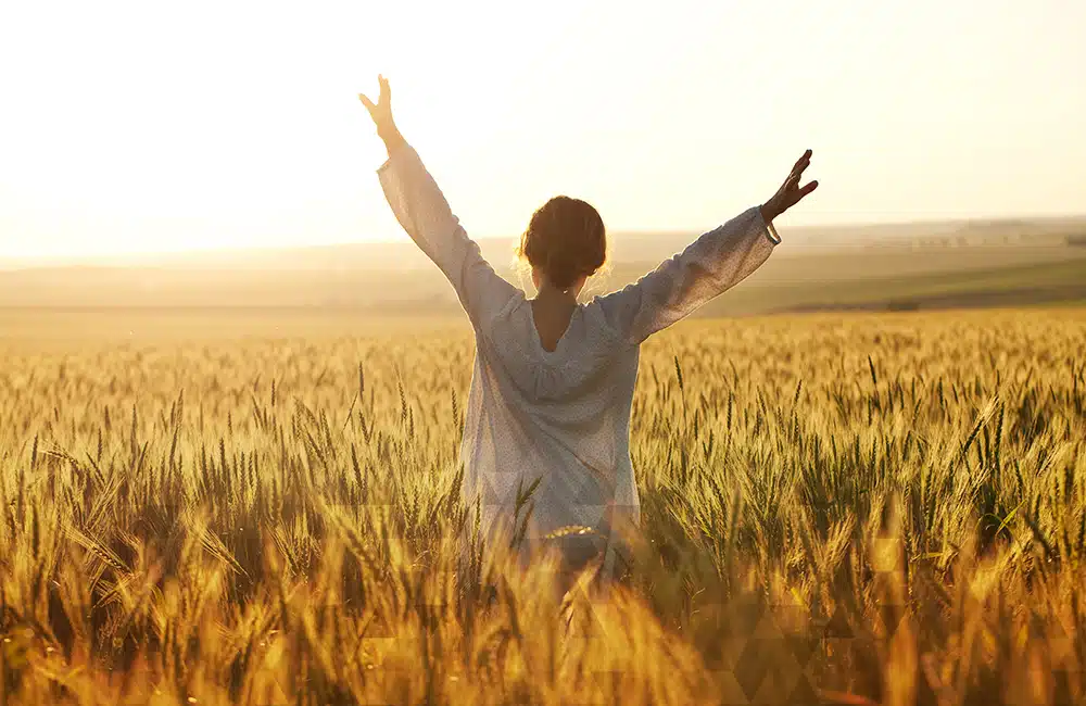 Skylake Recovery Center - Thumbnail 8