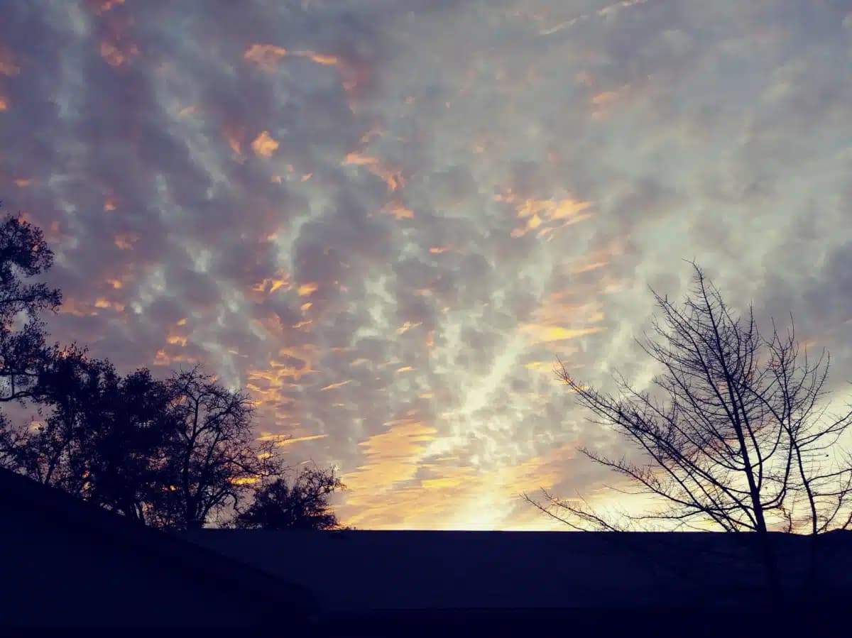 Skyway House Residential - Thumbnail 6