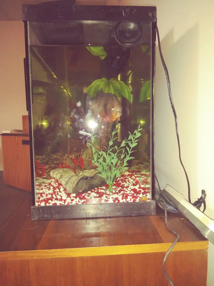 Soaring Sober - Thumbnail 10