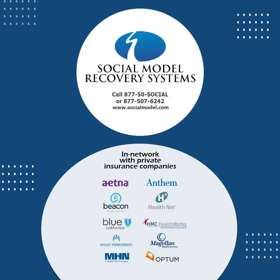 Social Model Recovery Systems - Thumbnail 3