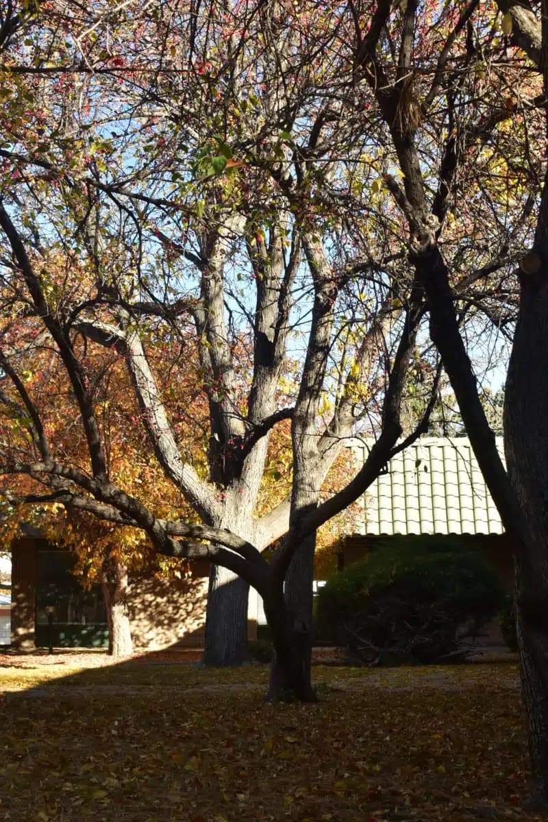 Solace Counseling Services Inc - Thumbnail 7