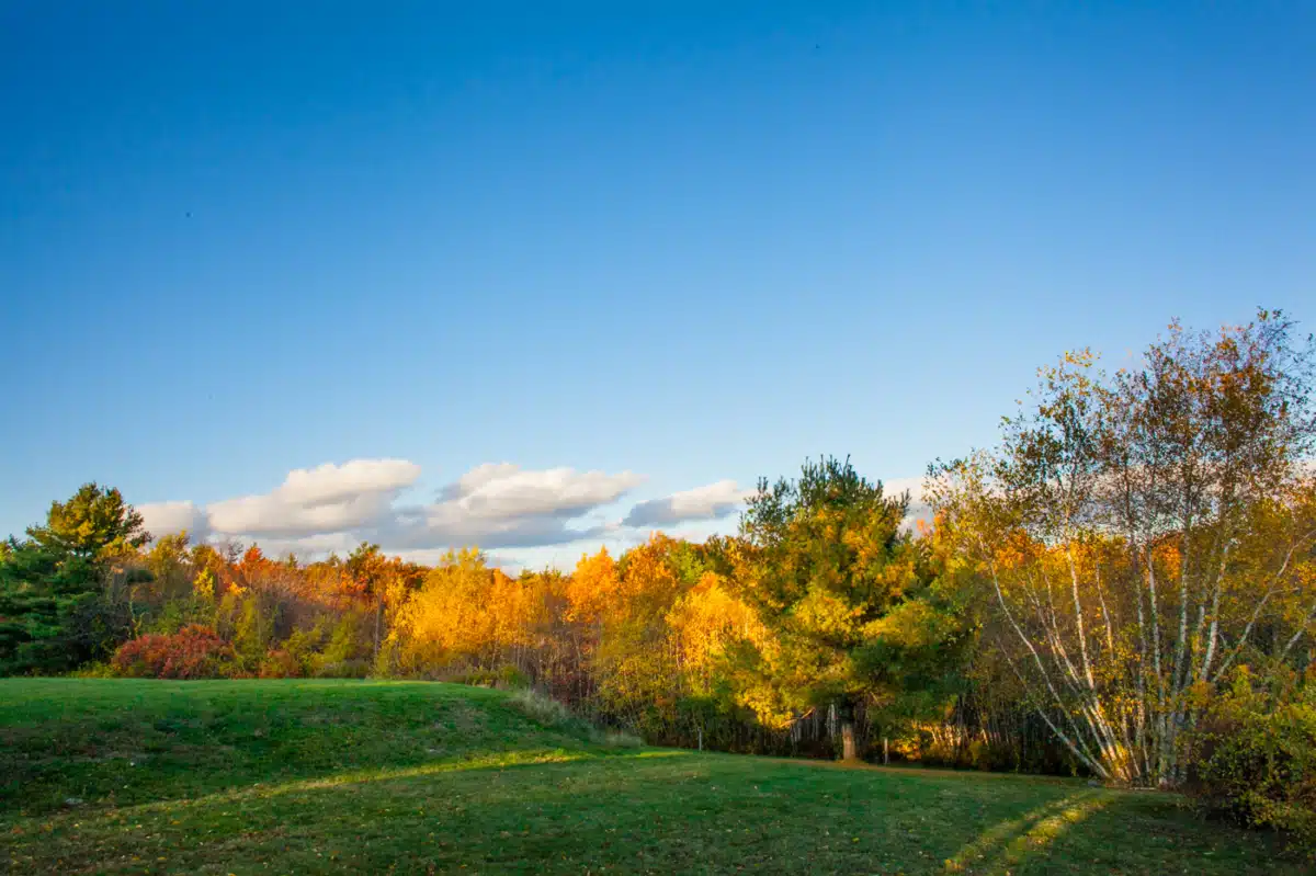 Spring Hill Recovery Center - Thumbnail 5