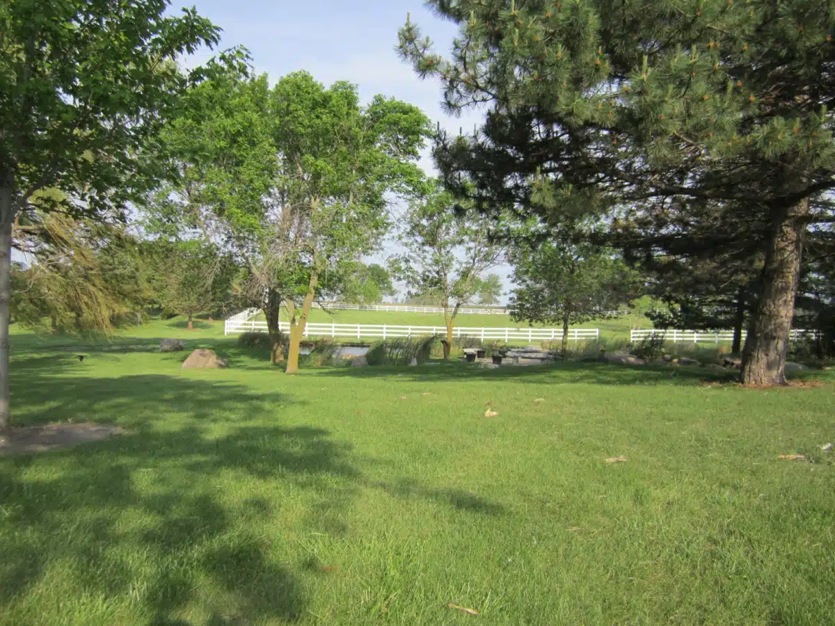 Tallgrass Recovery and - Thumbnail 3