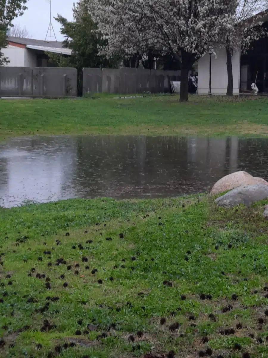 Teens Living Clean - Thumbnail 3