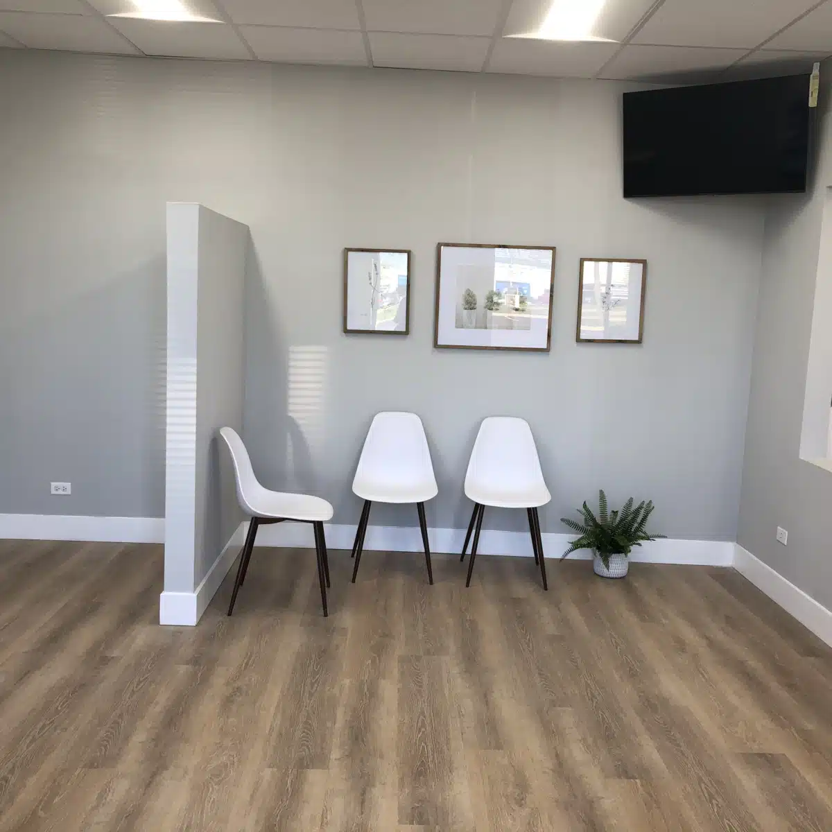 Therapeutic Interventions Inc - Thumbnail 4