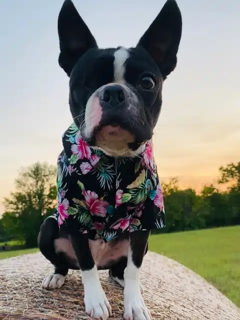 Therapy Services LLC