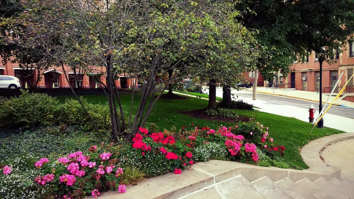 UPMC Mercy Hospital - Thumbnail 10