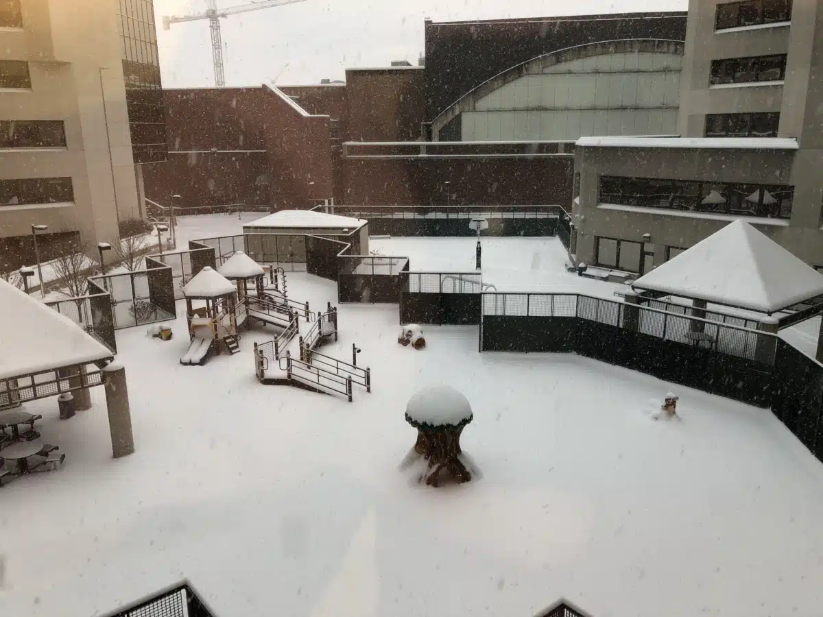 University of Iowa Healthcare - Thumbnail 9