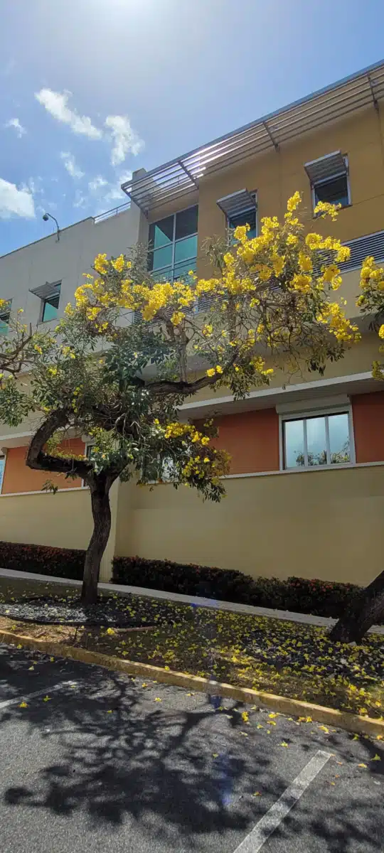 VA Caribbean Healthcare System - Thumbnail 10