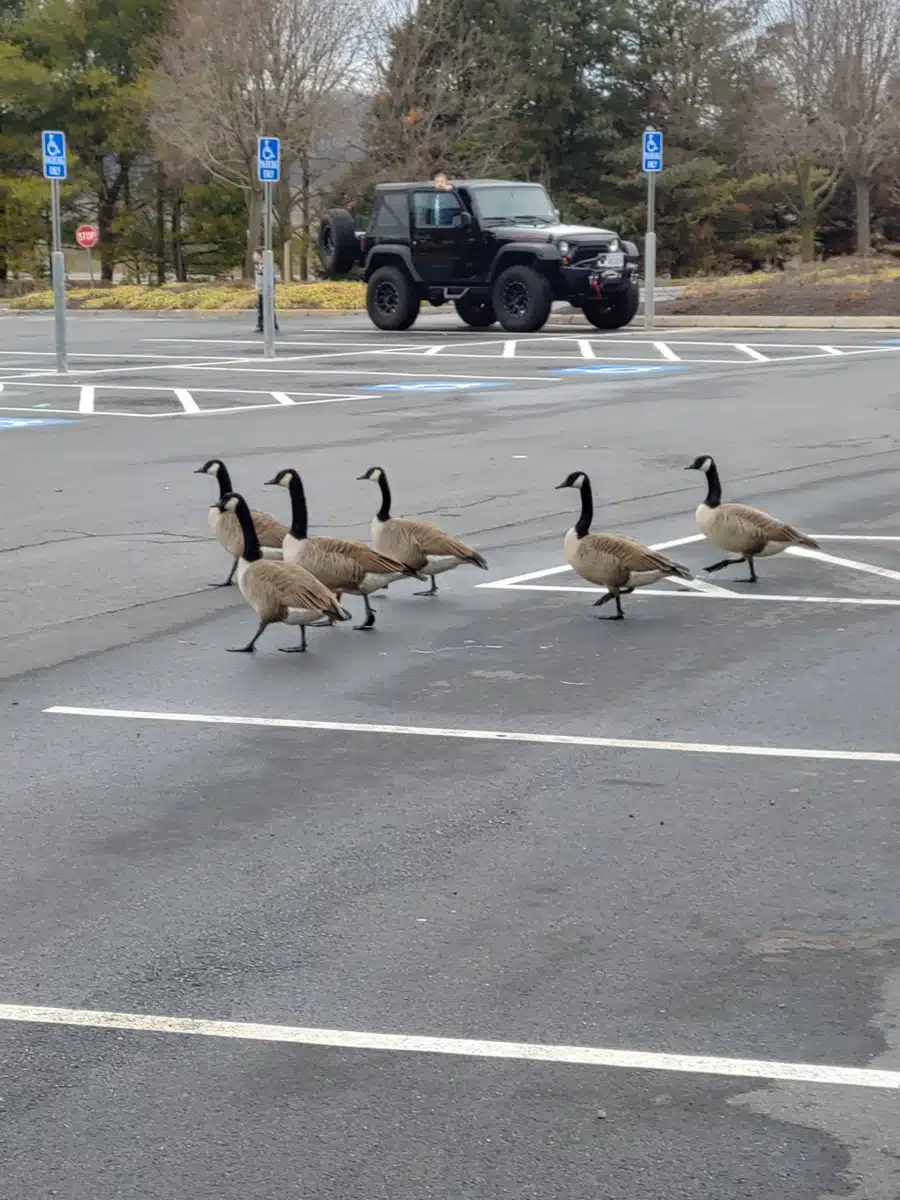 VAMED Health Group LLC - Thumbnail 10