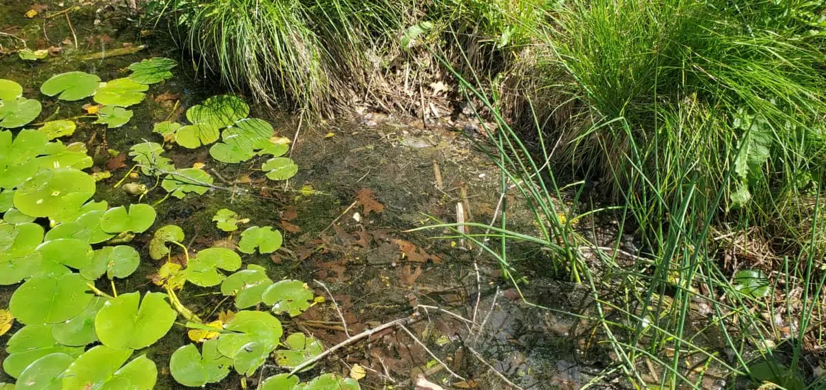 VAMED Health Group LLC - Thumbnail 2