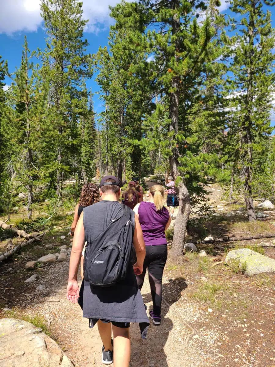 Wasatch Crest Treatment Services - Thumbnail 3