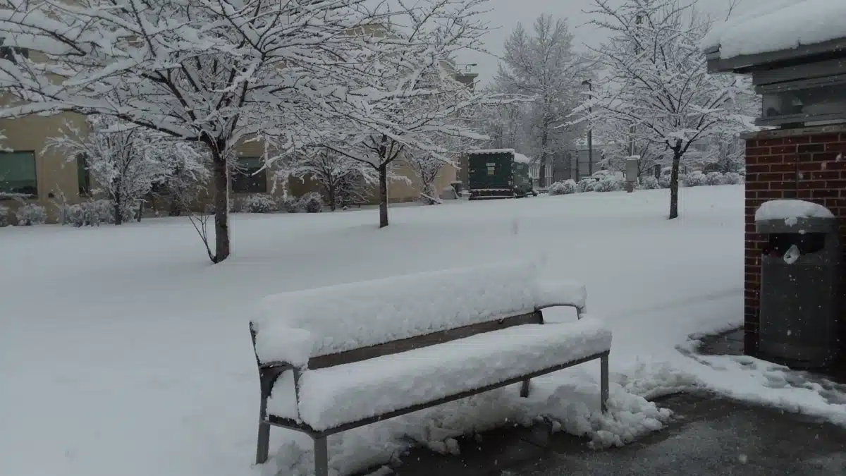 Wellness Center - Thumbnail 3