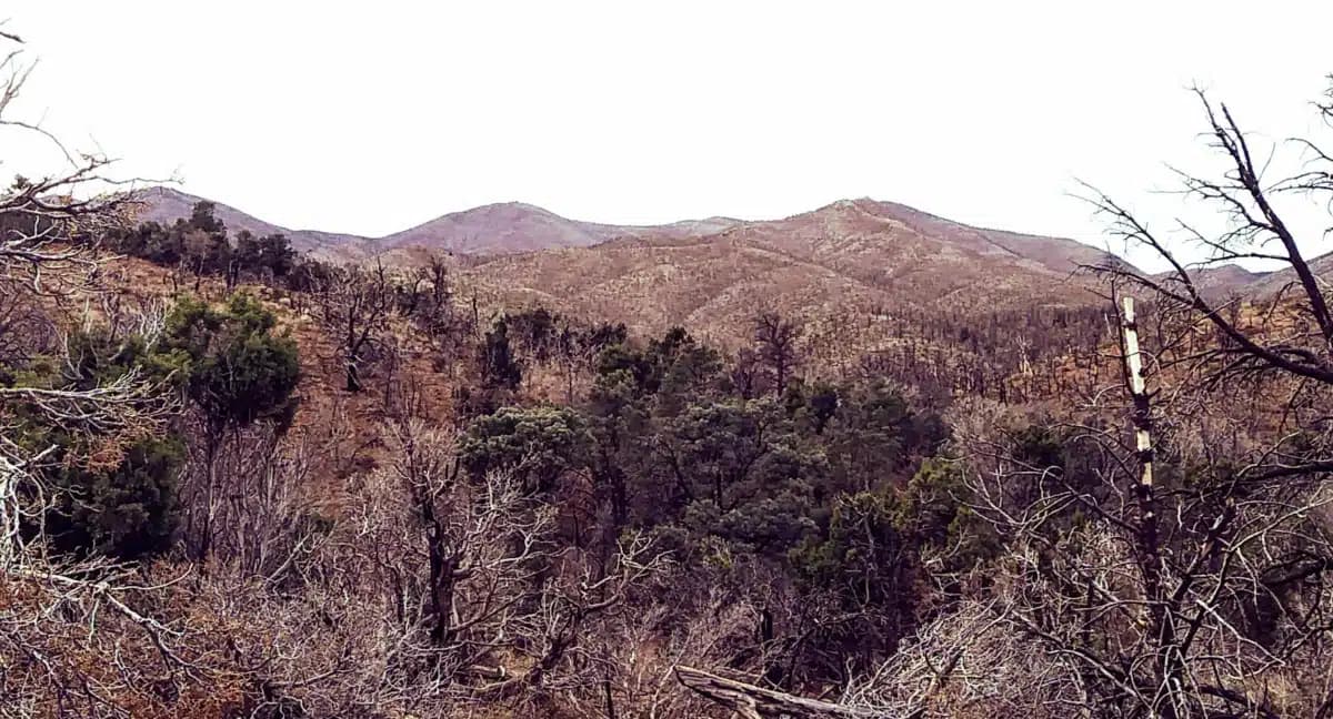 WestCare Nevada Inc - Thumbnail 7