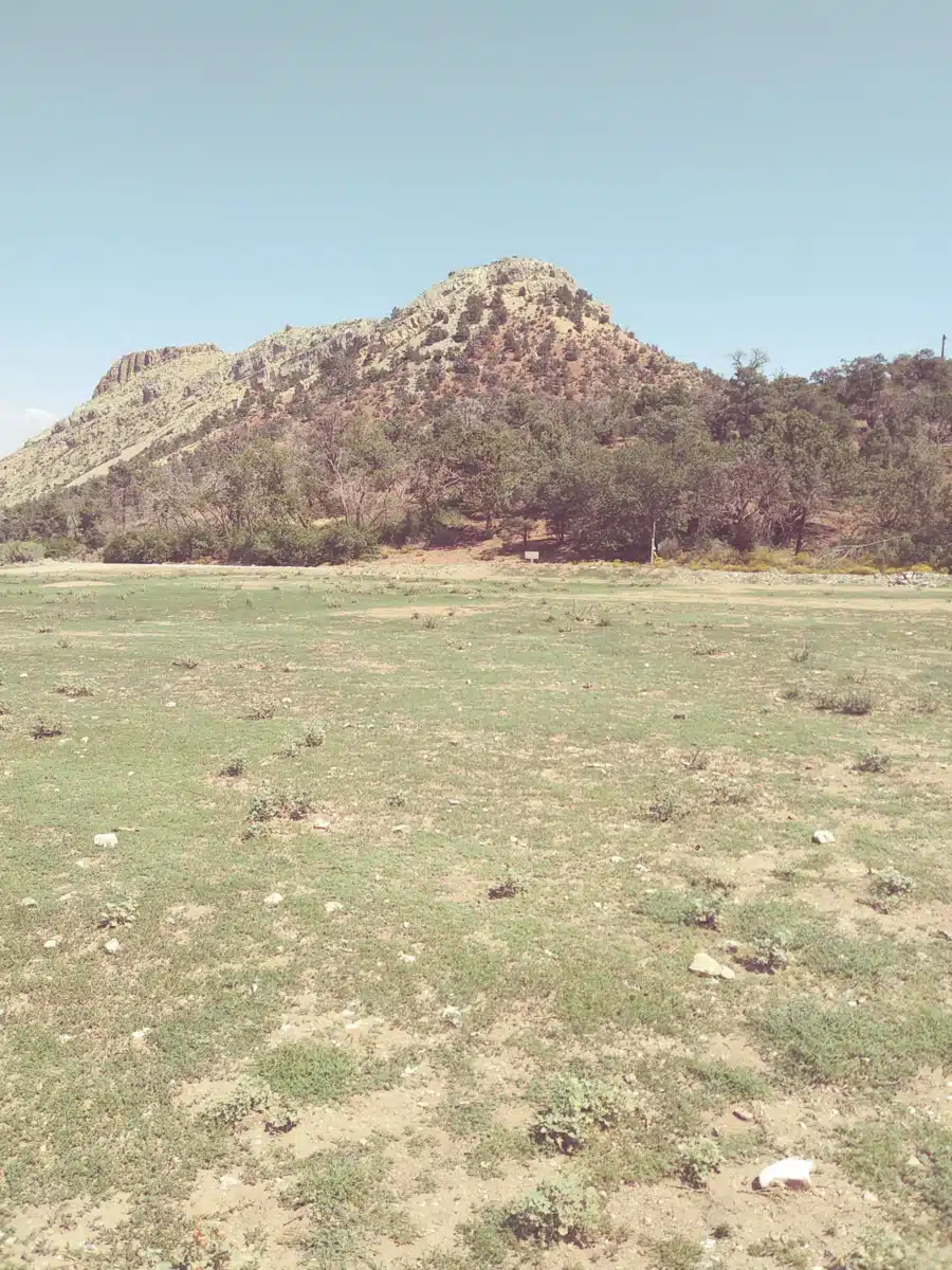 WestCare Nevada Inc - Thumbnail 9