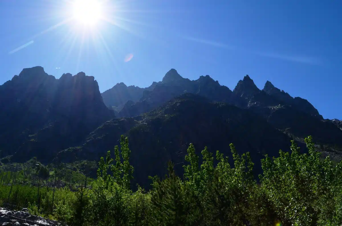 Whats Next Counseling - Thumbnail 4