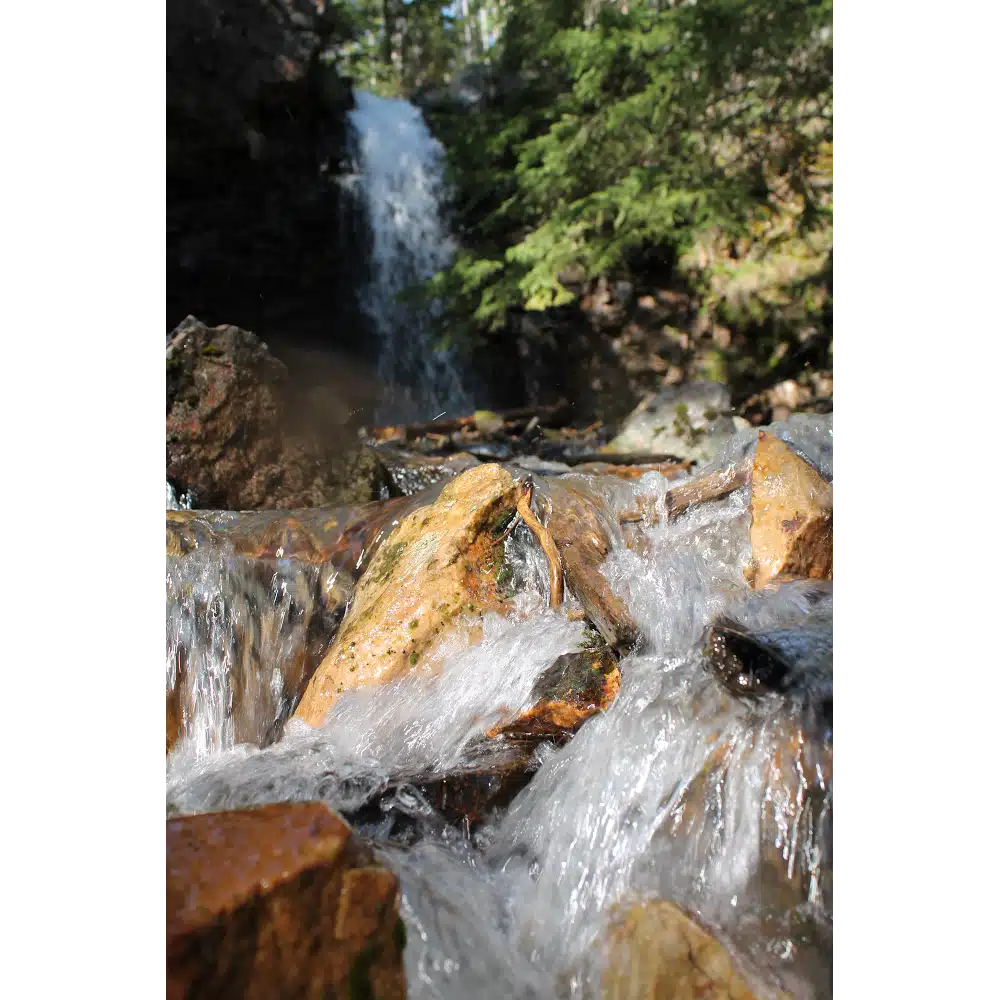 Whats Next Counseling - Thumbnail 7