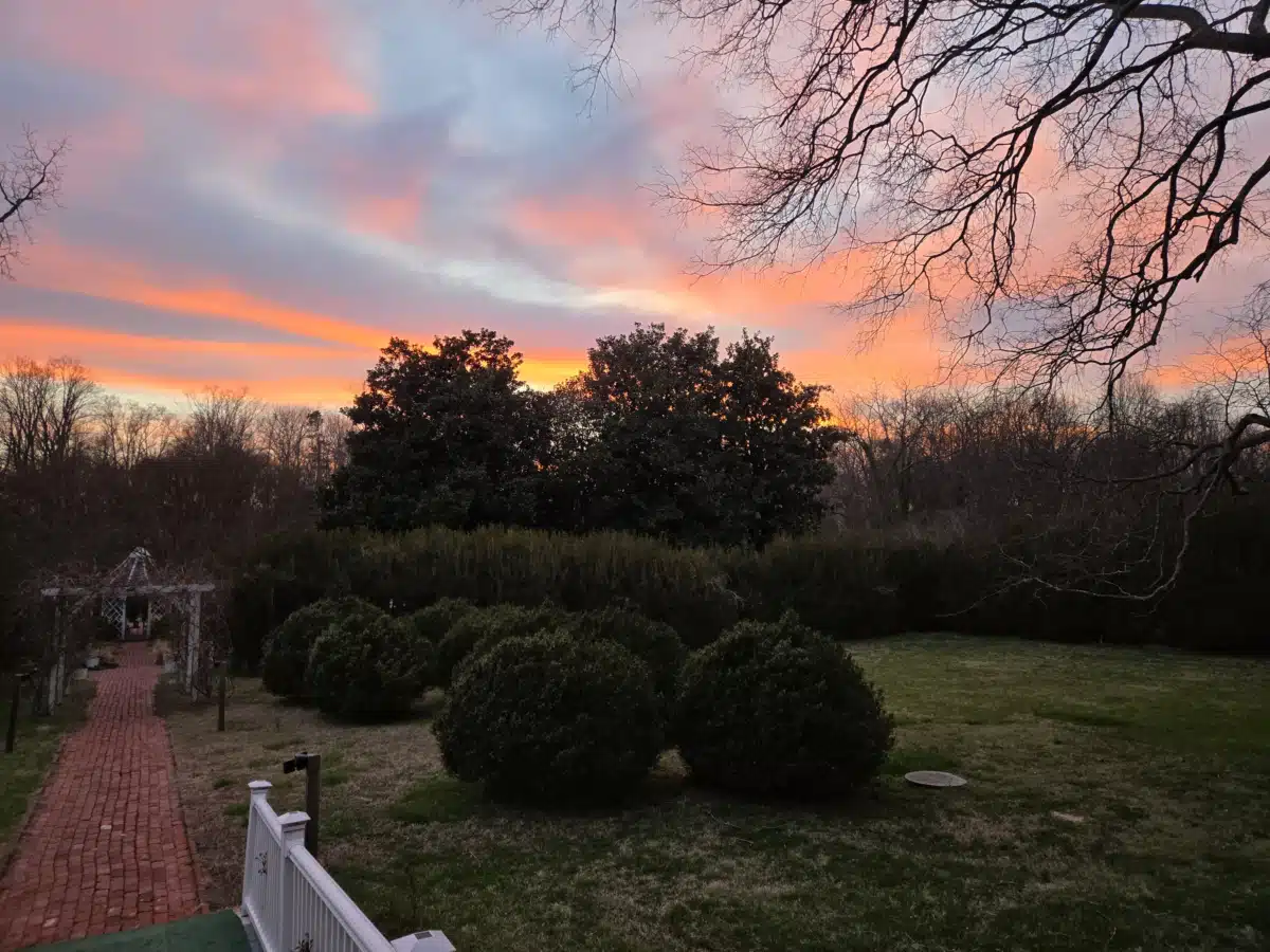 Williamsville Wellness Center - Thumbnail 6