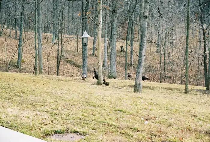 Wooded Glen Recovery Center - Thumbnail 7