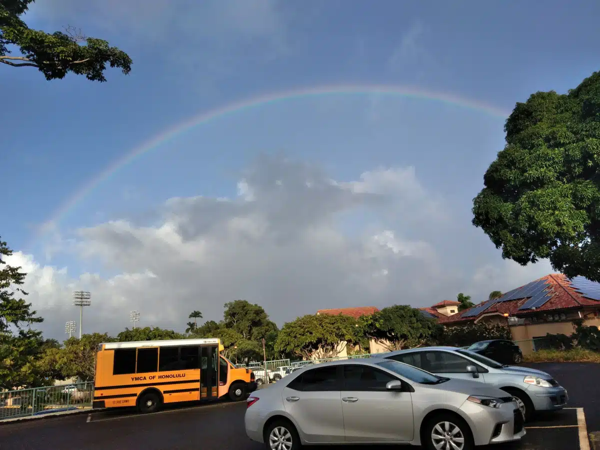 YMCA of Honolulu - Thumbnail 10