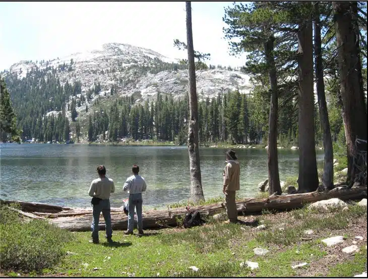 Yellowstone Recovery - Thumbnail 2