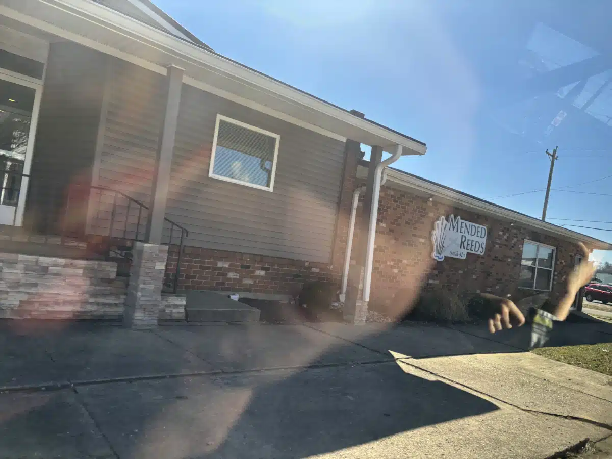 Mended Reeds Mental Health