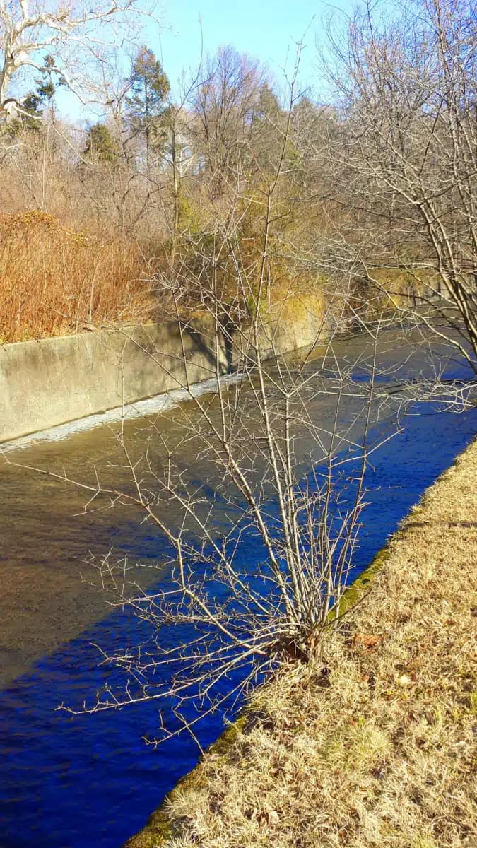 North West Essex Community