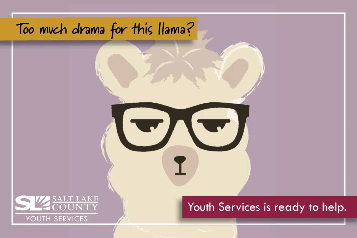 Salt Lake County Youth Services