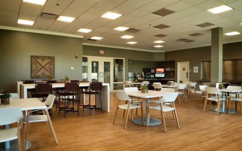 Silver Maple Recovery